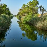 BQ Alcudia Sun Village Picture 9