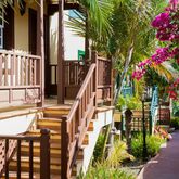 Oasis San Antonio Apartments Picture 7