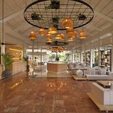 Melia Punta Cana Beach - Adults Only Picture 11