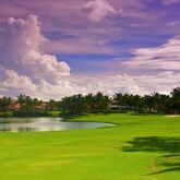 Melia Caribe Tropical Hotel Picture 16