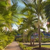 Travellers Beach Resort Hotel Picture 10