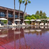 Golden Sun Hotel Picture 8