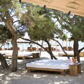 Insotel Hotel Formentera Playa Picture 16