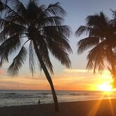Coconut Court Beach Hotel Picture 18