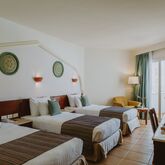 Baron Palms Resort Hotel - Adults Only Picture 18