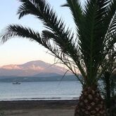 Summery Hotel Picture 7