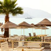 The Beachfront Hotel - Adult Only Picture 7