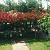 Alfa Hotel Picture 9