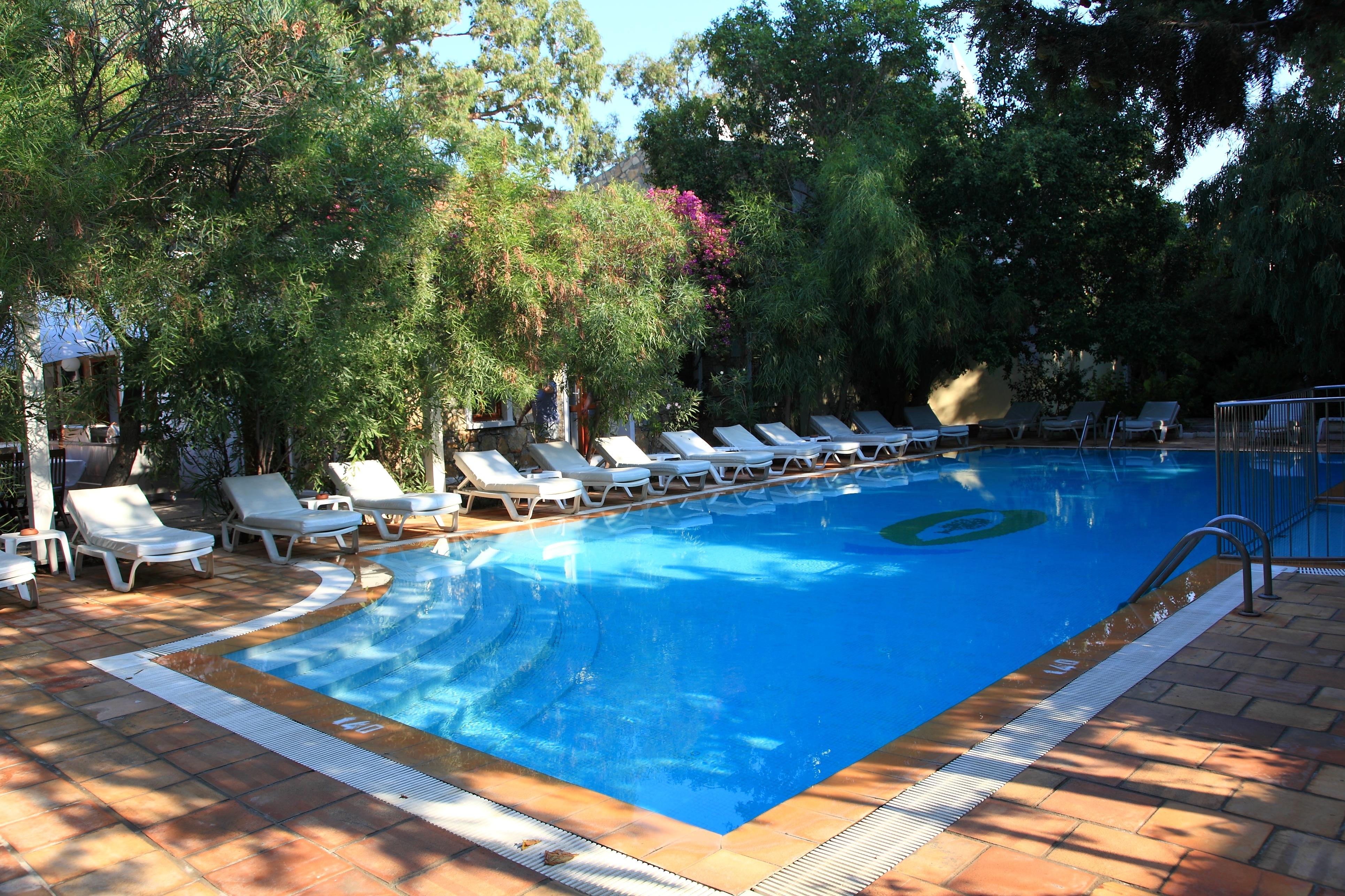 Holidays at Okaliptus Hotel in Bitez, Bodrum Region