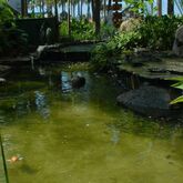 Bel Air Collection Nuevo Vallarta Picture 11