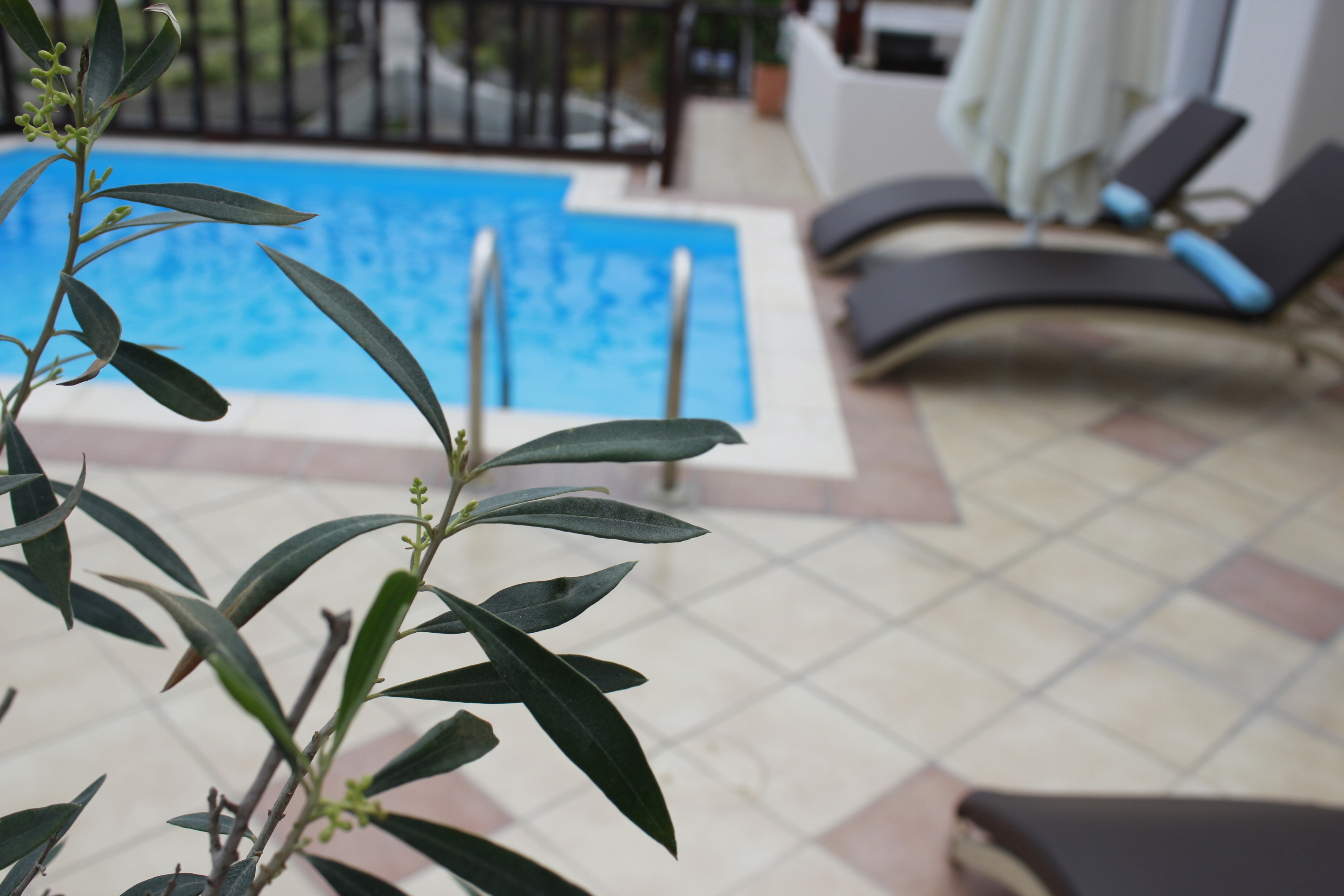 Amerisa Suites Hotel Picture 2