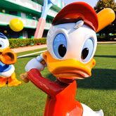 Disney's All Star Sports Resort Hotel Picture 9