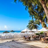 Bougainvillea Barbados Picture 17
