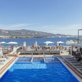 Alua Palmanova Bay Picture 0