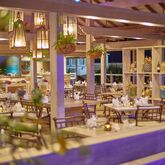 Bougainvillea Barbados Picture 4