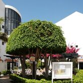 HG Cristian Sur Apartments Picture 10