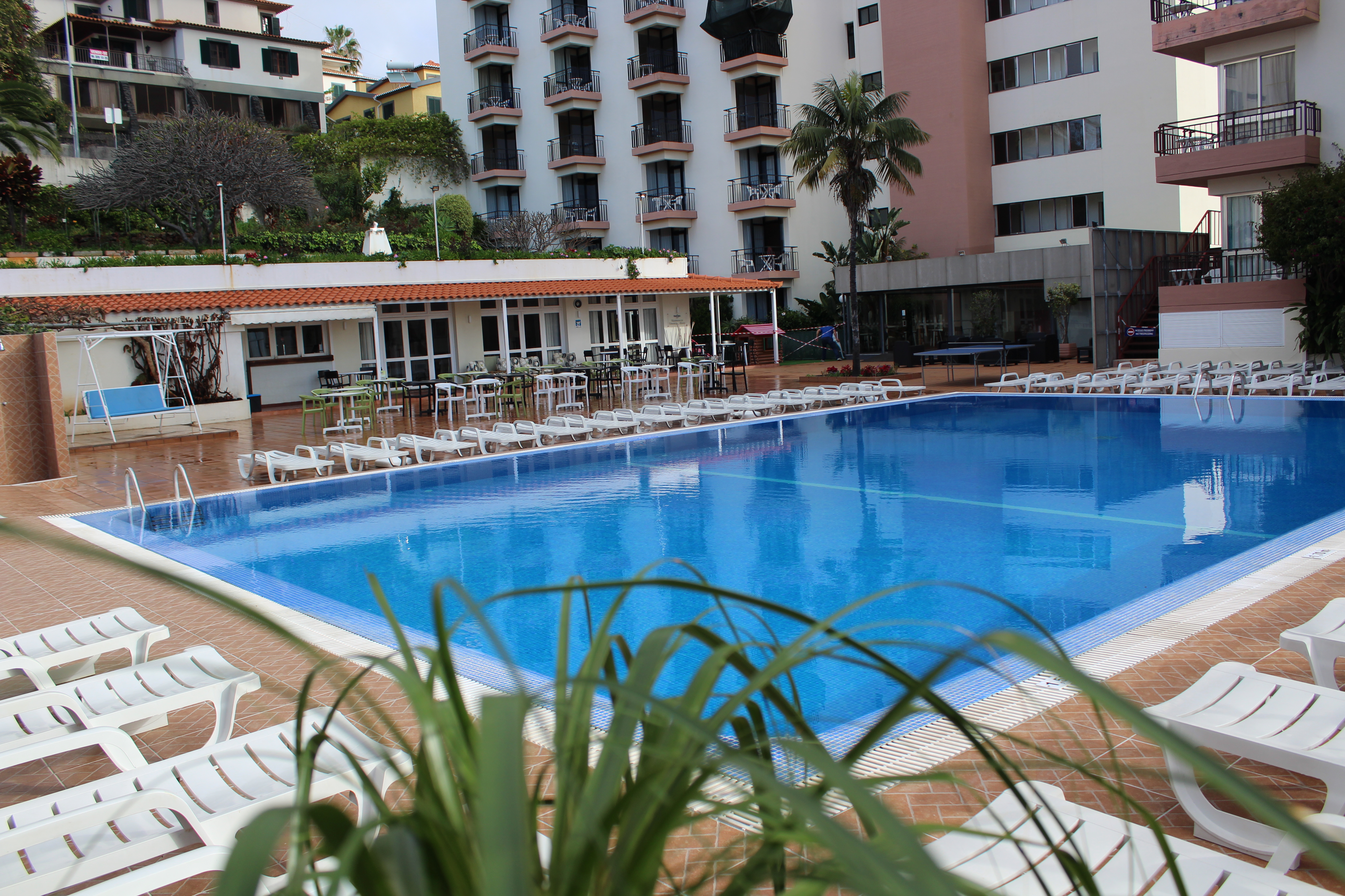 Holidays at Dorisol Estrelicia Hotel in Funchal, Madeira
