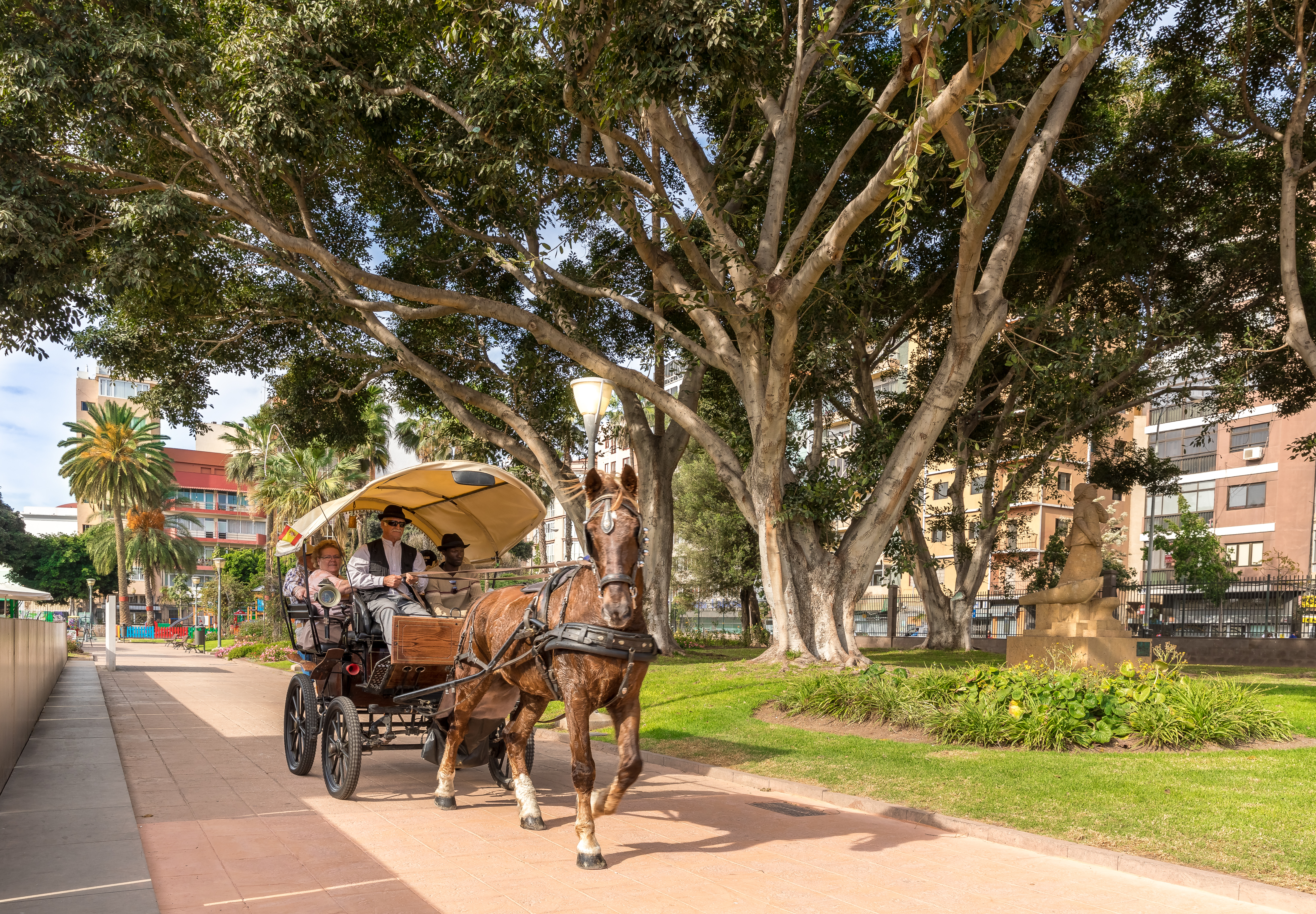 Holidays at Blanca Paloma Hotel in Las Palmas, Gran Canaria