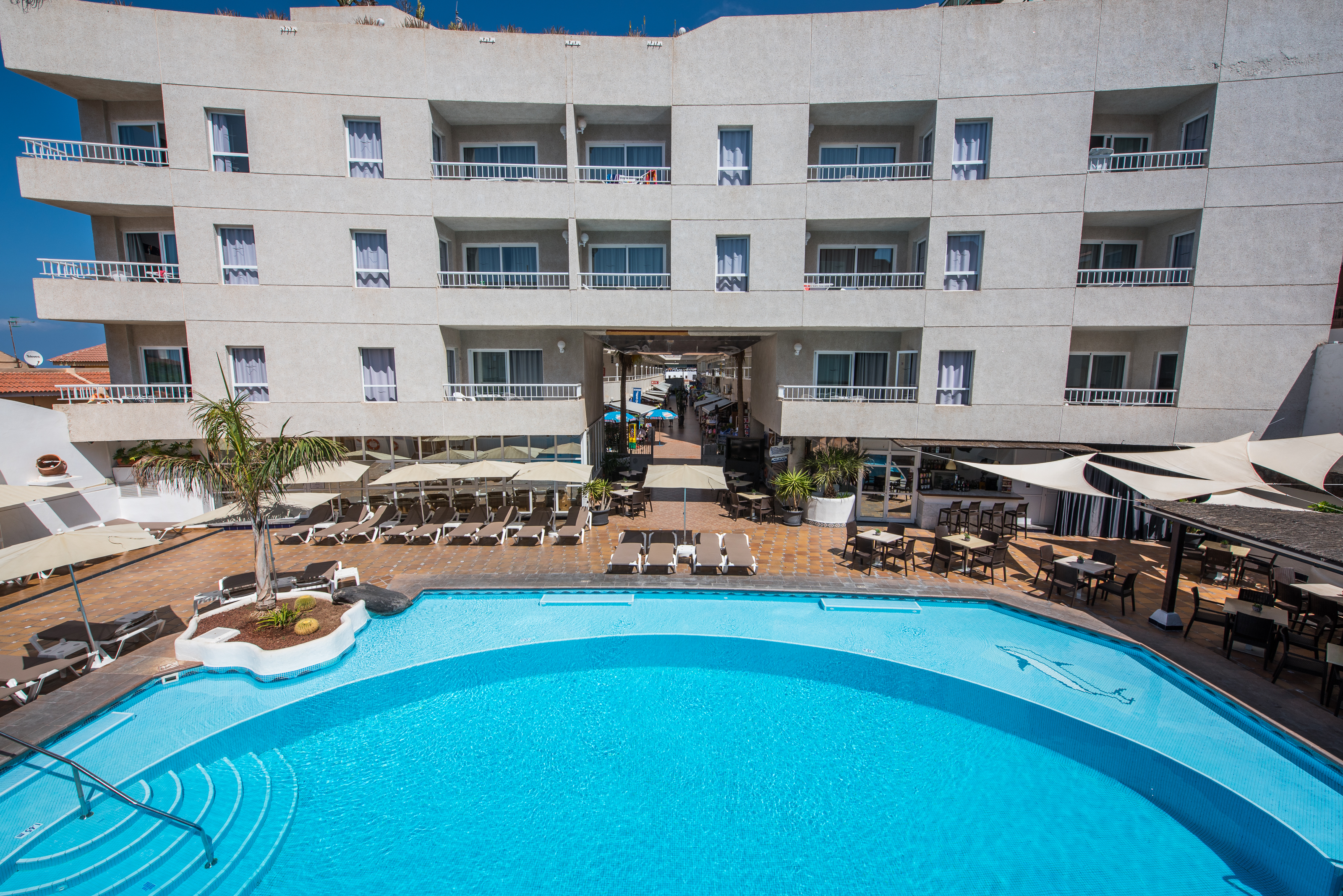 Holidays at Vigilia Park Apartments in Puerto de Santiago, Tenerife