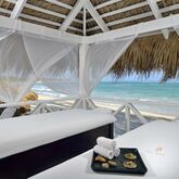 The Reserve at Paradisus Punta Cana Picture 11