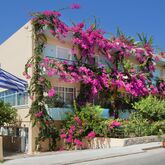 Dedalos Beach Hotel Picture 9