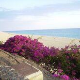 Apartamentos Punta Marina by LIVVO Picture 19