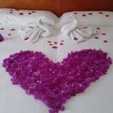 Veronica Hotel Picture 5