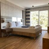 Sertil Royal Forest Hotel Picture 3