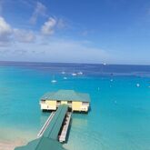 Radisson Aquatica Resort Barbados Picture 7