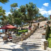 Arum Barut Collection Picture 13