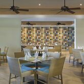 Westin Punta Cana Resort and Club Picture 13