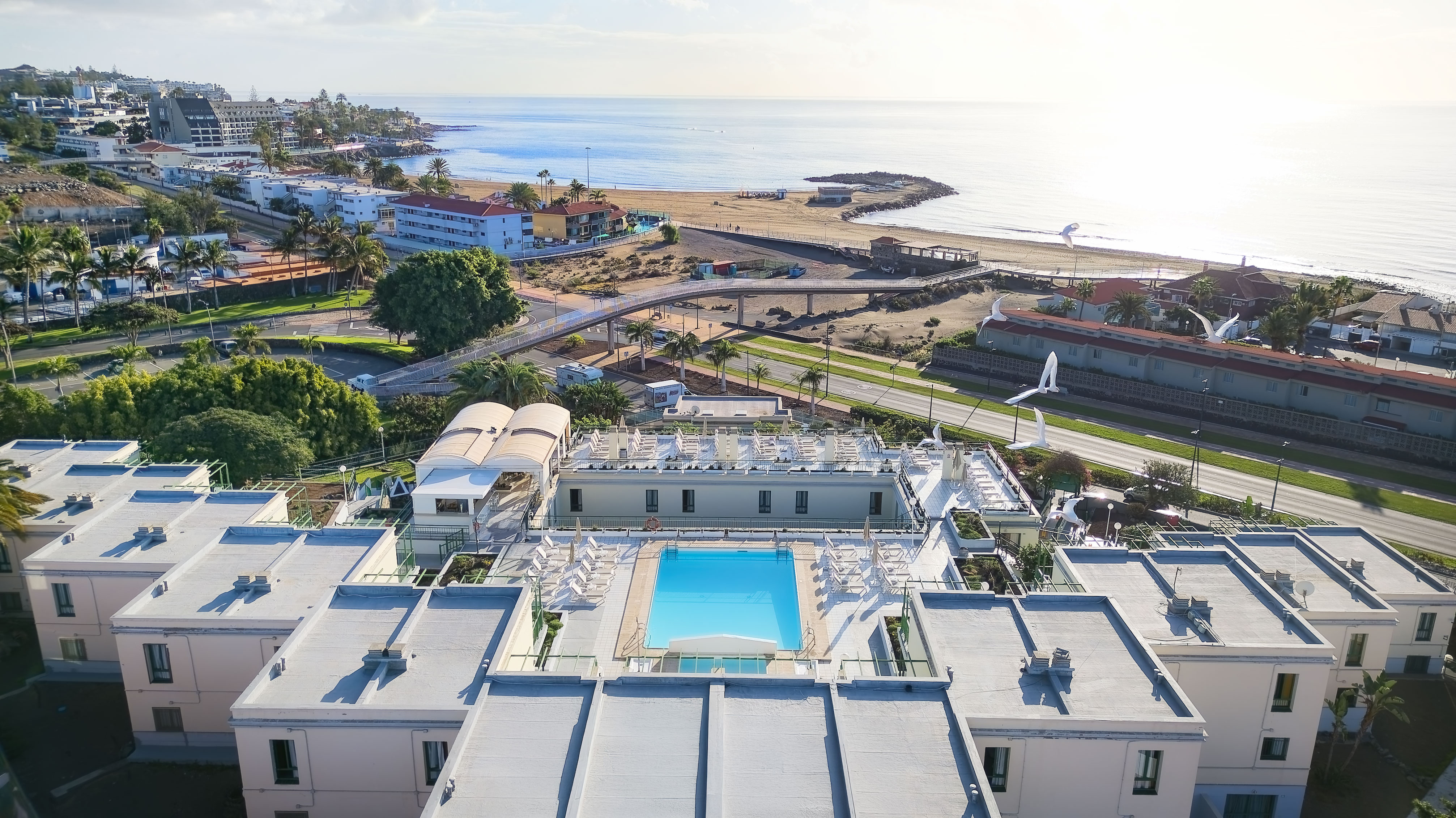 Holidays at Green Ocean Apartments in Playa del Ingles, Gran Canaria