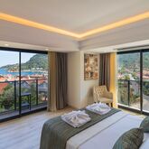 Amossia Elite Hotel Picture 9