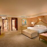Grand Hyatt Dubai Hotel Picture 8