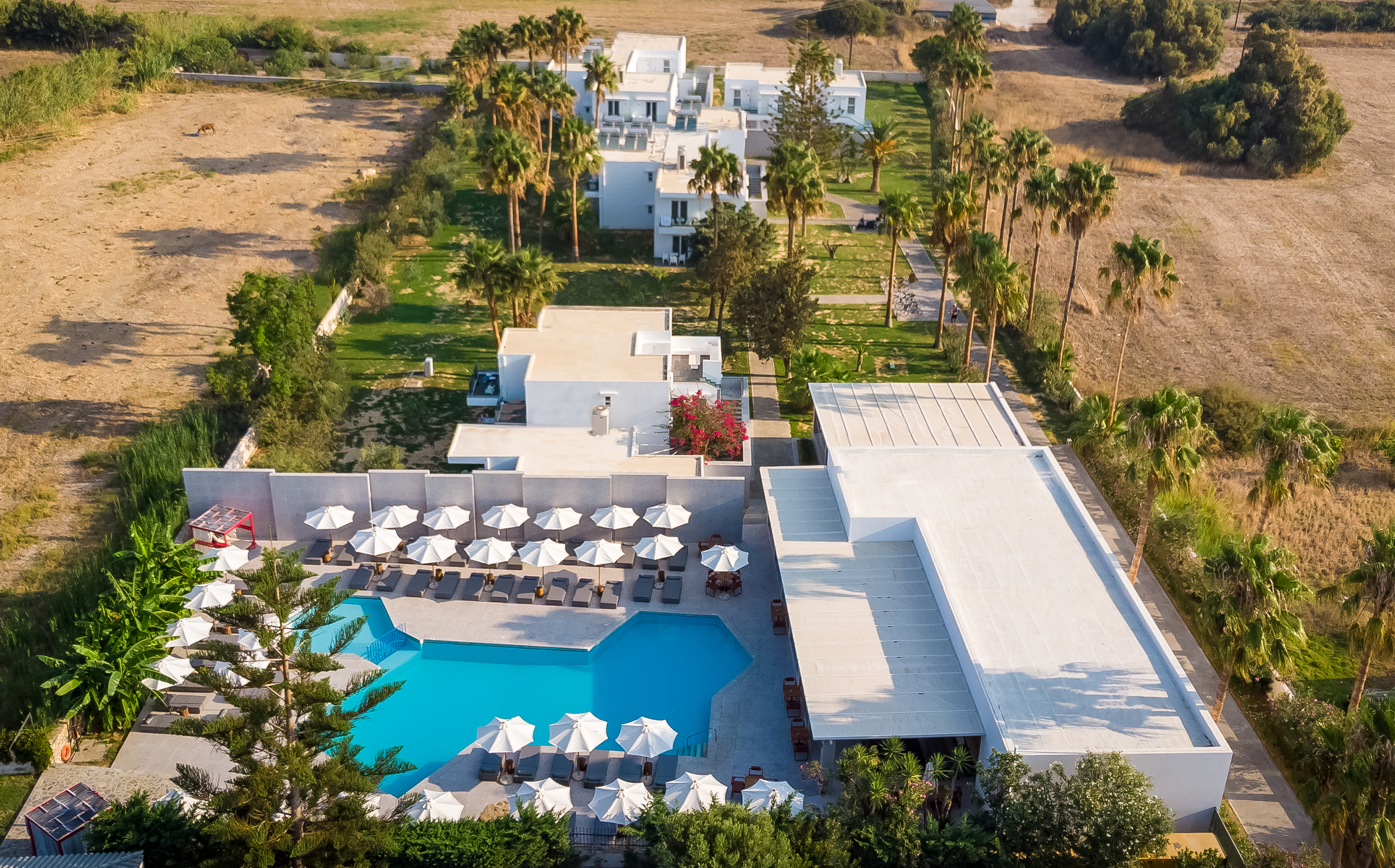 Holidays at Diamond Apartments in Lambi, Kos