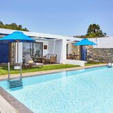 Elounda Bay Palace Hotel Picture 4