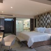 Occidental El Embajador Hotel Picture 3