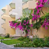 Dedalos Beach Hotel Picture 7