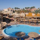Charmillion Sea Life Sharm Picture 16