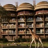 Disney's Animal Kingdom Lodge Picture 4