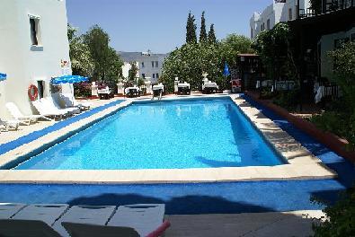 Paloma Hotel Picture 6