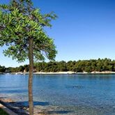 Zorna Hotel Picture 11