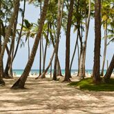 Vista Sol Punta Cana Beach Resort & Casino Picture 4
