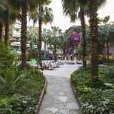 Venus Hotel Picture 7
