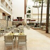 Orka Lotus Beach Picture 15