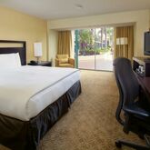 Hilton Anaheim Hotel Picture 8
