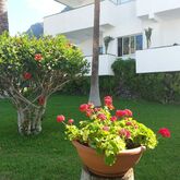 El Sombrero Apartments Picture 9