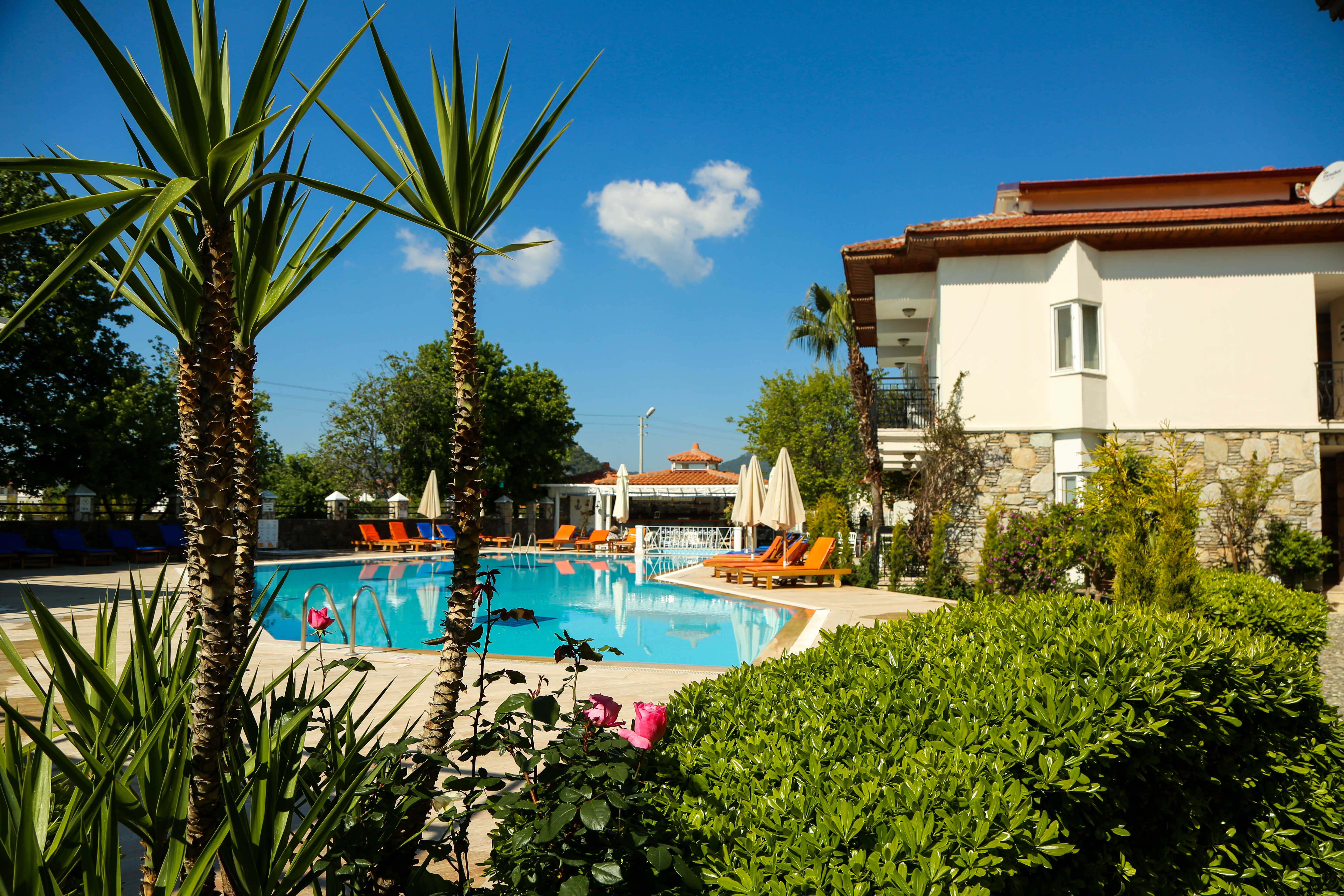 Holidays at Basar Hotel in Dalyan, Dalaman Region