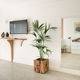 Sol Wave House All Suites Picture 8