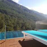 Sertil Royal Forest Hotel Picture 6